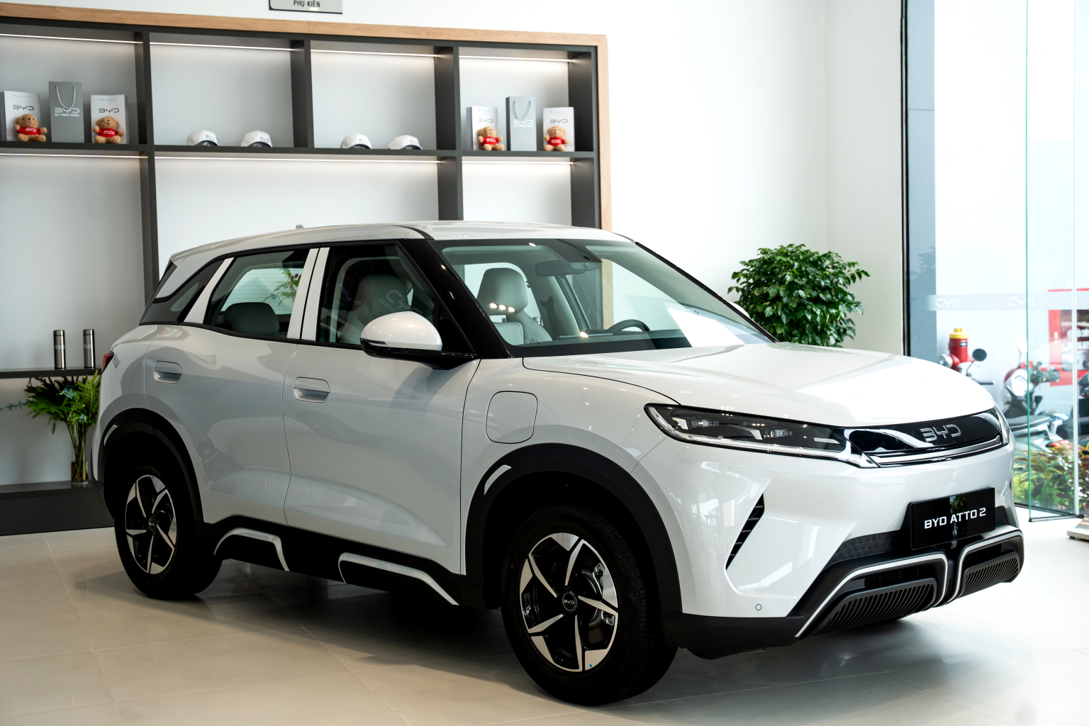 Top 3 lý do khiến khách hàng chọn mua BYD ATTO 2 - tìm hiểu cùng BYD Vĩnh Phúc