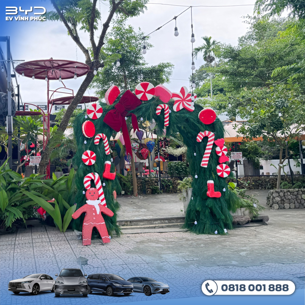 Tham dự sự kiện lái thử xe BYD tại Hạt Kafe, Tam Dương, Phú Thọ